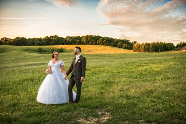 Casal de casamento em campo . — Fotografia de Stock