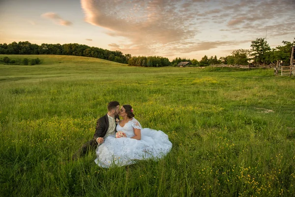 新婚夫妇在夏田. — 图库照片