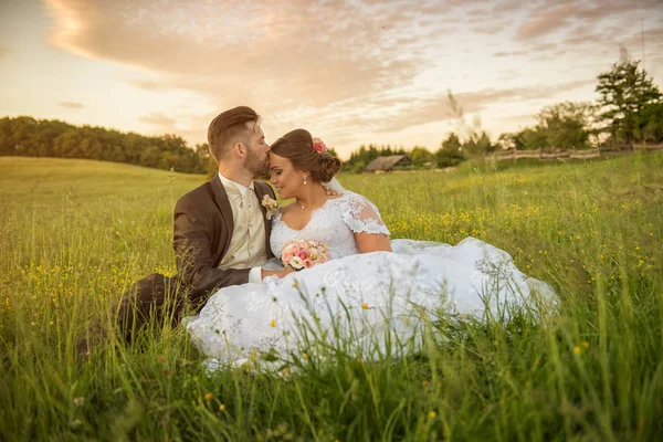 Casal de casamento no campo de verão . — Fotografia de Stock