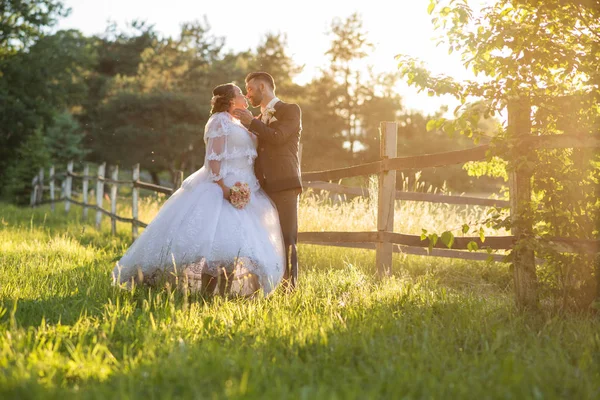 Casamento casal na natureza . — Fotografia de Stock