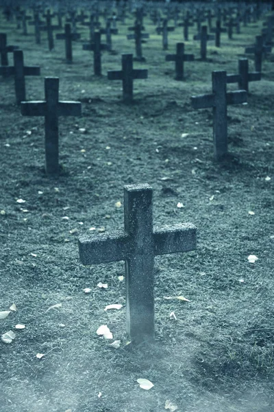 Tal van grafstenen op de begraafplaats — Stockfoto