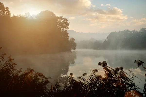 Landscape on the river with fog — Stock Photo, Image