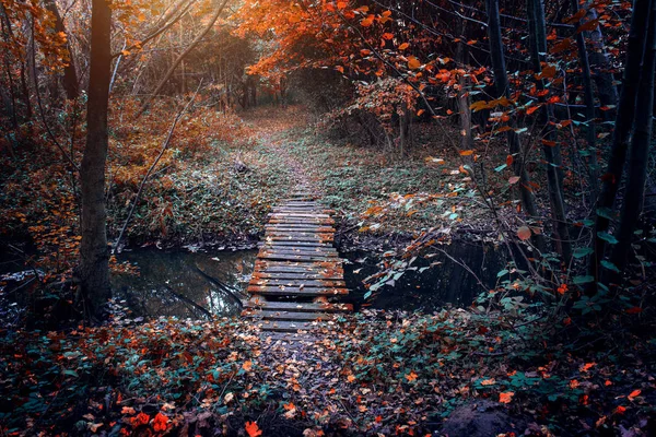 Alte Brücke im Herbst — Stockfoto