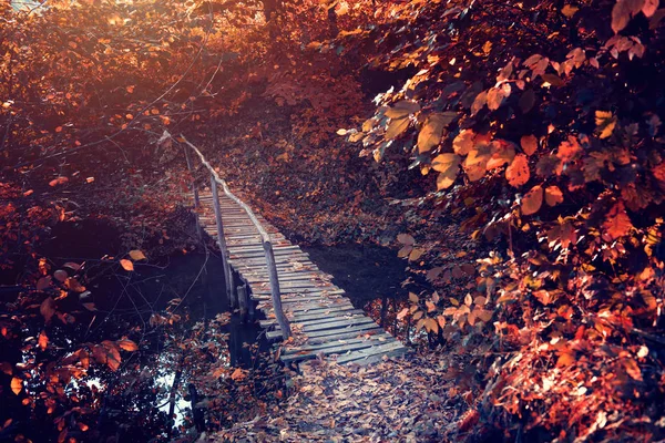 Παλιό γεφύρι το φθινόπωρο — Φωτογραφία Αρχείου