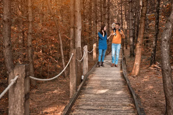 Ung familj promenader i skogen — Stockfoto