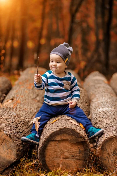 Little boy sitting on tree — Stock Photo, Image