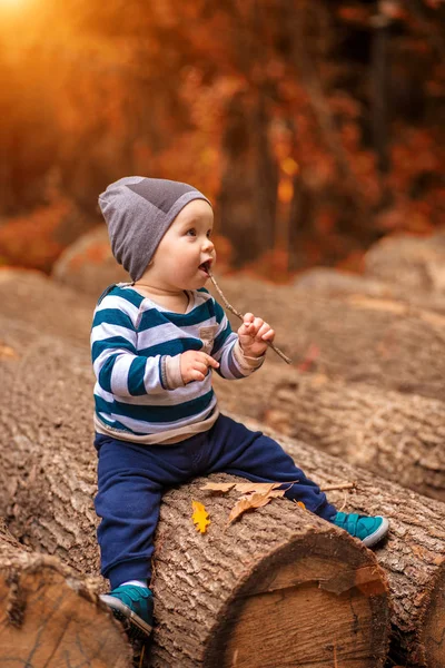 Little boy sitting on tree — Stock Photo, Image