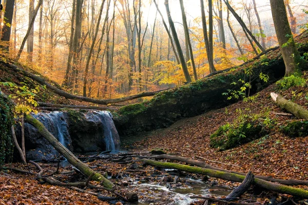 Wunderschöne, märchenhafte Herbstlandschaft. — Stockfoto