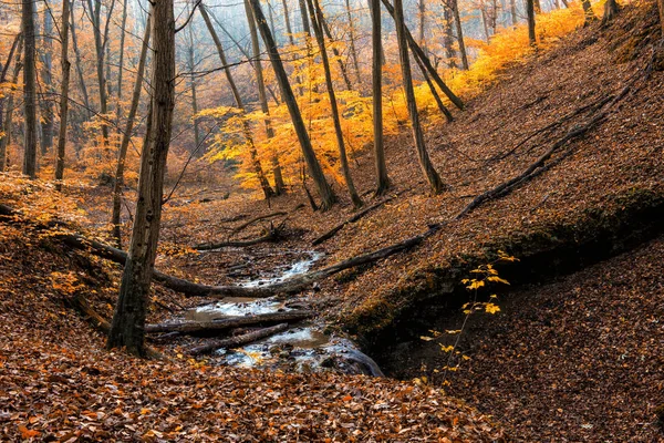 Wunderschöne, märchenhafte Herbstlandschaft. — Stockfoto