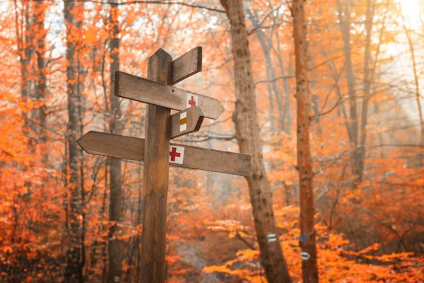 Bir turist işareti, sonbahar ormanda yürüyüş iz — Stok fotoğraf