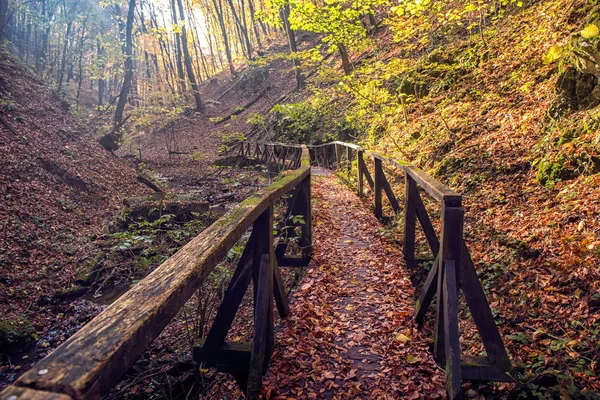 Beau paysage d'automne fabuleux avec pont d'arbre . — Photo