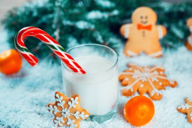 Noel kurabiye ve süt ile Dekorasyon, kar, Noel ağacı yeni yıl arka plan üzerinde dalları. Boş alan