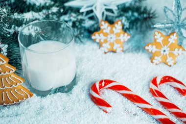 Noel kurabiye ve süt ile Dekorasyon, kar, Noel ağacı dalları üzerinde bokeh ışıklar arka plan bulanık. Boş alan