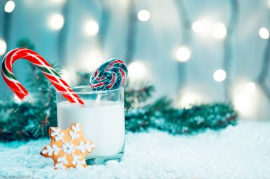 Noel kurabiye ve süt ile Dekorasyon, kar, Noel ağacı dalları üzerinde bokeh ışıklar arka plan bulanık. Boş alan