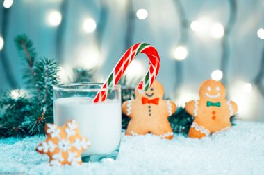 Noel kurabiye ve süt ile Dekorasyon, kar, Noel ağacı dalları üzerinde bokeh ışıklar arka plan bulanık. Boş alan