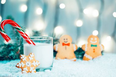 Noel kurabiye ve süt ile Dekorasyon, kar, Noel ağacı dalları üzerinde bokeh ışıklar arka plan bulanık. Boş alan