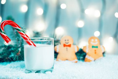 Noel kurabiye ve süt ile Dekorasyon, kar, Noel ağacı dalları üzerinde bokeh ışıklar arka plan bulanık. Boş alan