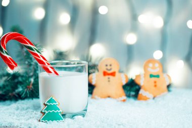 Noel kurabiye ve süt ile Dekorasyon, kar, Noel ağacı dalları üzerinde bokeh ışıklar arka plan bulanık. Boş alan