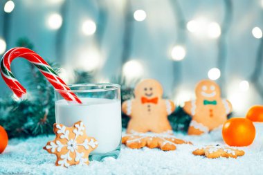 Noel kurabiye ve süt ile Dekorasyon, kar, Noel ağacı dalları üzerinde bokeh ışıklar arka plan bulanık. Boş alan