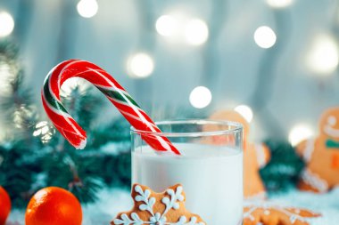 Noel kurabiye ve süt ile Dekorasyon, kar, Noel ağacı dalları üzerinde bokeh ışıklar arka plan bulanık. Boş alan