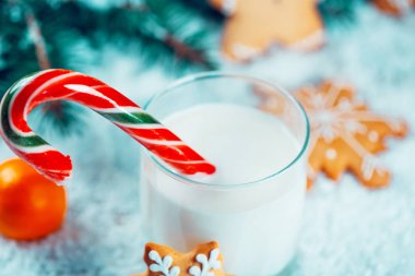 Noel kurabiye ve süt ile Dekorasyon, kar, Noel ağacı yeni yıl arka plan üzerinde dalları. Boş alan