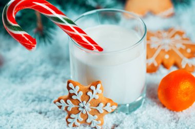 Noel kurabiye ve süt ile Dekorasyon, kar, Noel ağacı yeni yıl arka plan üzerinde dalları. Boş alan