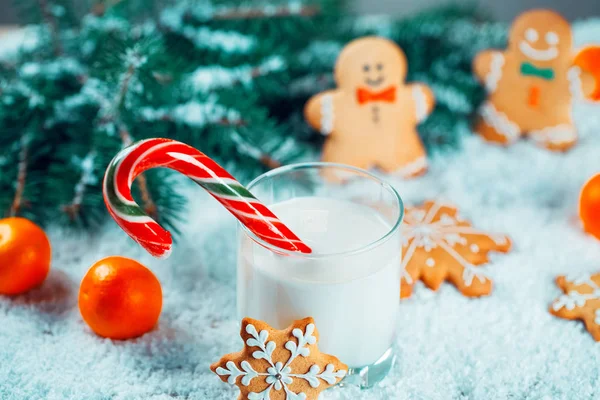 Pane di zenzero di Natale e latte con decorazioni, neve, rami di albero di Natale su sfondo Capodanno. Spazio libero — Foto Stock