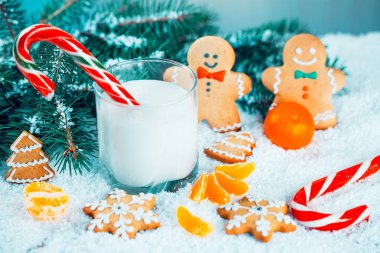 Noel kurabiye ve süt ile Dekorasyon, kar, Noel ağacı dalları üzerinde bokeh ışıklar arka plan bulanık. Boş alan