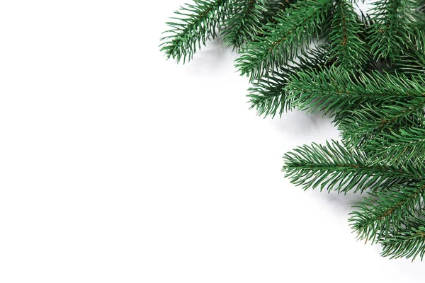 Tannenbaum-Rahmen auf weißem Hintergrund. Freiraum — Stockfoto