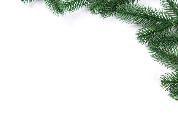 Tannenbaum-Rahmen auf weißem Hintergrund. Freiraum — Stockfoto