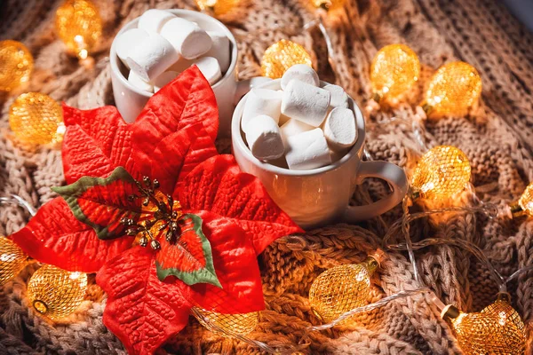 Christmas background with cocoa or coffee with marshmallows in a white cup and red flower on a brown knitted winter scarf and a glowing golden garland. Beautiful concept of home comfort and warmth — Stock Photo, Image