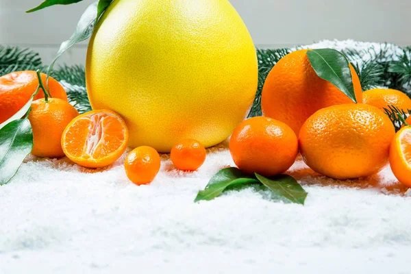 Fresh mandarins, oranges, pomelo, kumquat, kinkan with leaves on white snow. Ripe citrus fruits background. Symbol of the New Year and Christmas — Stock Photo, Image