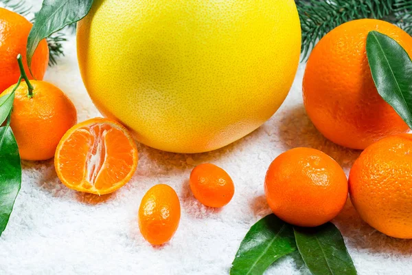 Fresh mandarins, oranges, pomelo, kumquat, kinkan with leaves on white snow. Ripe citrus fruits background. Symbol of the New Year and Christmas — Stock Photo, Image