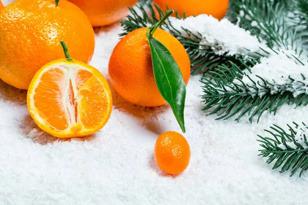 Fresh mandarins, oranges, pomelo, kumquat, kinkan with leaves on white snow. Ripe citrus fruits background. Symbol of the New Year and Christmas — Stock Photo, Image