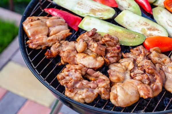 Assortimento di verdure fresche colorate, carne di pollo gri — Foto Stock