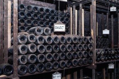 Kadim şarap şişeleri dinleniyor, yaşlanıyor, yeraltı mahzenlerinde tozlanıyor. Nadir şaraplarla dolu bir şarap mahzeni, özel bir koleksiyon. Eski mağaradaki raflarda duran şarap şişeleri.