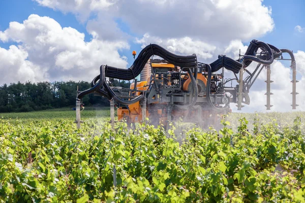 França Chablis 2019-06-21 Trator laranja cultivar campo, trator de pulverização de vinha com fungicida, máquina de pulverização, arrastado por trator, polvilha pesticidas entre linhas de vinhas — Fotografia de Stock