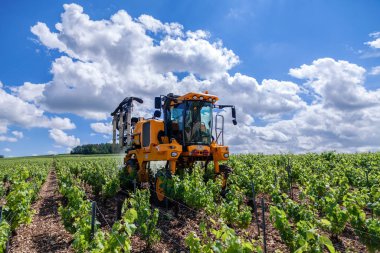 France Chablis 2019-06-21 traktörü tarla ekilecek, üzüm bağında çalışıyor. Tır aracıyla üzüm bağlarını sulayan çiftçi. Tarım sahnesi. Burgundy 'de hasat, intikam, şarap yapma kavramı