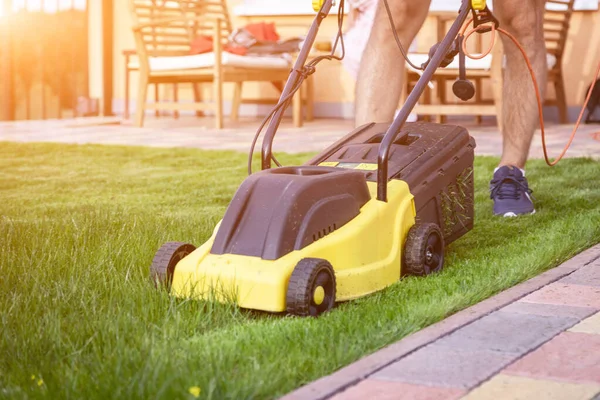 Lawn mower, green grass, equipment, mowing, gardener, care, work, tool, home, housekeeper in work