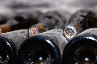 Kapalı siyah tozlu şarap şişeleri ve eski püskü mantarlar. Uzun yaşlanma, küflü şarap mahzeni, nadir bulunan antik koleksiyon, mantar kurdu.