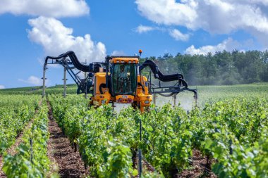 France Chablis 2019-06-21 Turuncu traktör, üzüm bağına sülfür püskürtüyor.