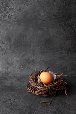 Siyah arka planda yuvada Paskalya yumurtası