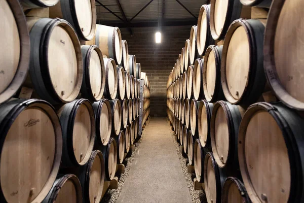 France Burgundy 2019-06-20 Wooden wine oak barrels stacked in winery cellar — Stock Photo, Image