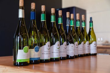 Bir şişe beyaz şarap Şarabı Jean Marc Brocard