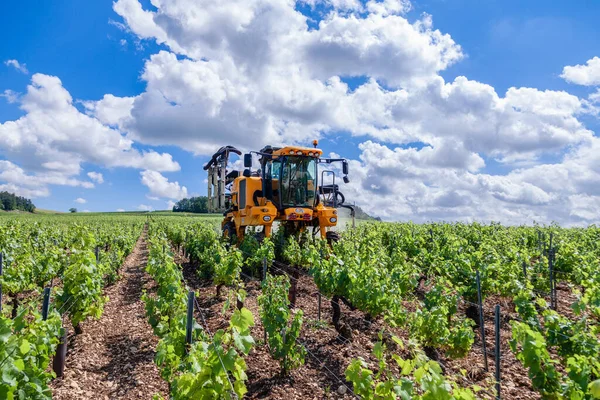 France Chablis 2019-06-21 traktörü tarla ekilecek, üzüm bağında çalışıyor. Tır aracıyla üzüm bağlarını sulayan çiftçi. Tarım sahnesi. Burgundy 'de hasat, intikam, şarap yapma kavramı