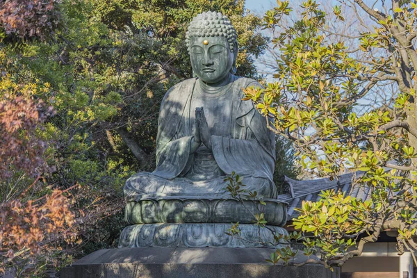 Tokyo Japón Enero 2019 Estatua Gigante Bronce Que Representa Buda — Foto de Stock