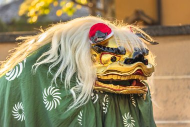 ueno, japan - january 02 2020: Japanese dancer who wears the new year's  traditional Shishimai lion costume composed of a wooden head with eyes gilded in gold and teeth plated with gold as well as to the ears that moved, a hairy mane, kemanmon or mak