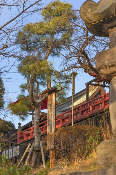 Ueno Japon Janvier 2020 Bande Pins Japonais Avec Toile Jute — Photo