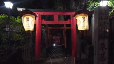 ueno, Japonya - Nisan 05 2019: Torii kapısının Japon kağıt fenerleriyle aydınlatılmış statik gece videosu Ueno Park, Tokyo, Japonya 'daki Hanazono Inari tapınağında.