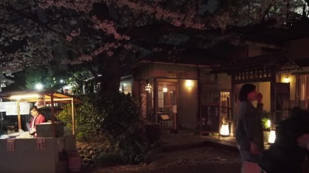 2019年4月5日 日本植野 日本东京植野公园 日本传统餐馆Inshotei的泛夜视频 意思是 留声附和松树的庄园 四周环绕着樱花树 — 图库视频影像